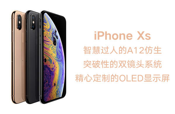 iPhoneX