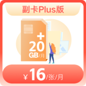 副卡Plus版