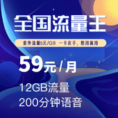 全国流量王-59元/月（砸金蛋）
