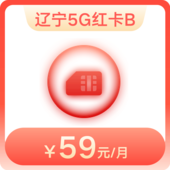 【5G升级版】辽宁红卡B套餐-按量计费